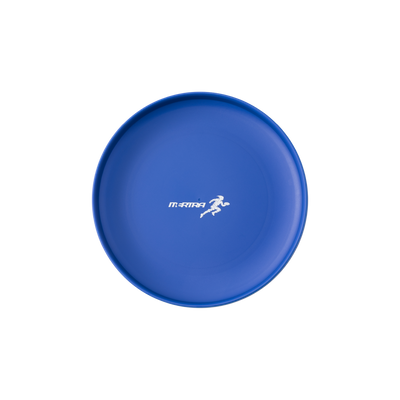 Around The World Frisbee (Blue)